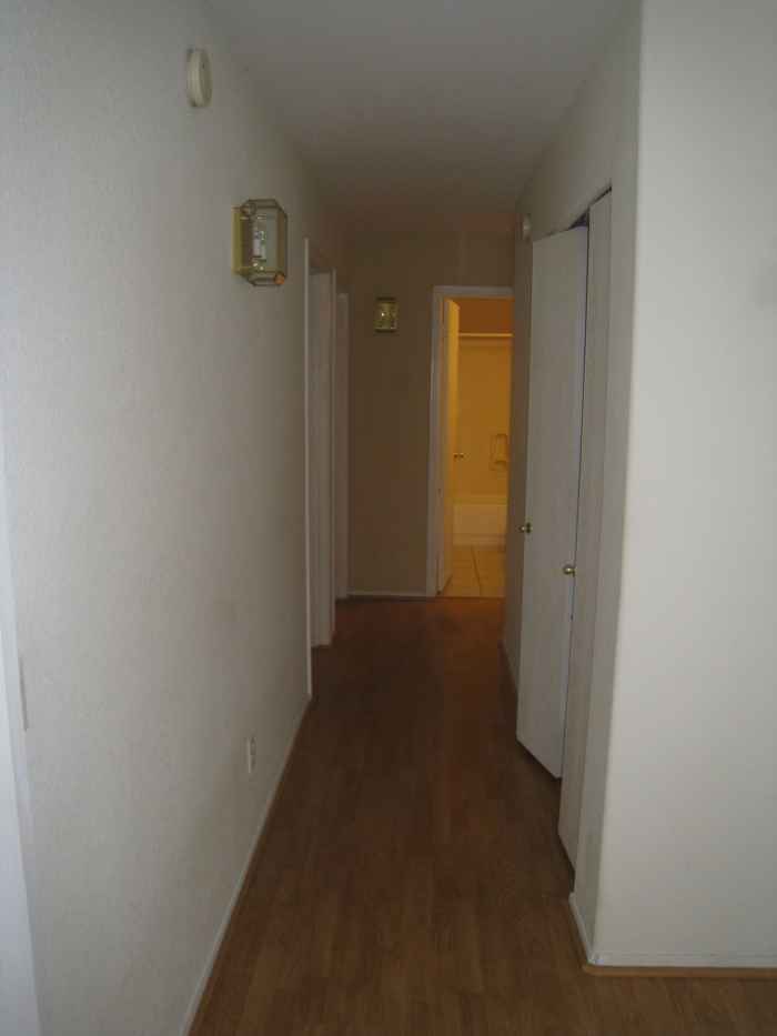 Corridor with wood flooring